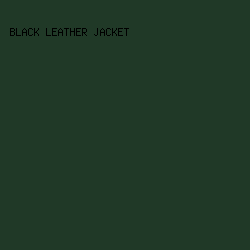 203927 - Black Leather Jacket color image preview