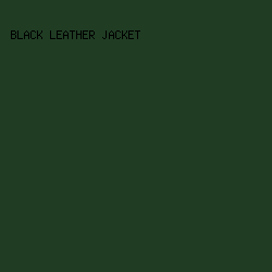 203d24 - Black Leather Jacket color image preview