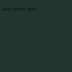 23352F - Black Leather Jacket color image preview