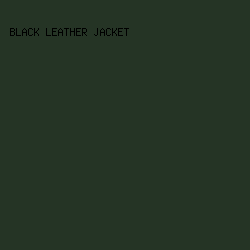 253425 - Black Leather Jacket color image preview
