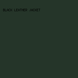253529 - Black Leather Jacket color image preview