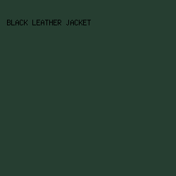 263E31 - Black Leather Jacket color image preview