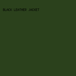 2b411c - Black Leather Jacket color image preview