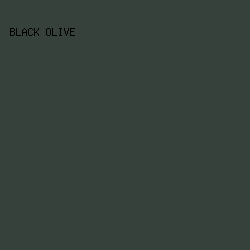 37413B - Black Olive color image preview