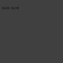 404040 - Black Olive color image preview