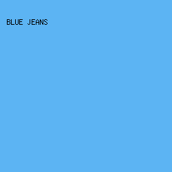 5CB4F3 - Blue Jeans color image preview