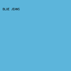 5CB5DB - Blue Jeans color image preview