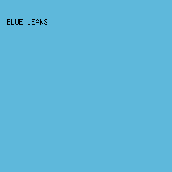 5EB8DB - Blue Jeans color image preview