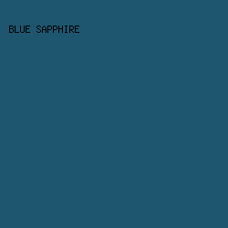 1E566F - Blue Sapphire color image preview