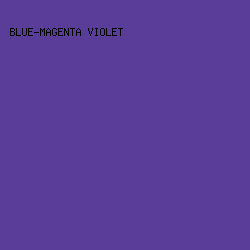 593D99 - Blue-Magenta Violet color image preview
