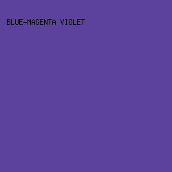 5C429C - Blue-Magenta Violet color image preview