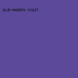 5d4999 - Blue-Magenta Violet color image preview