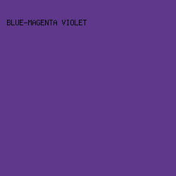 5f388b - Blue-Magenta Violet color image preview