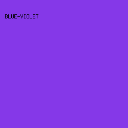 8538e8 - Blue-Violet color image preview