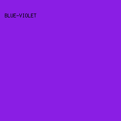 8A1EE4 - Blue-Violet color image preview
