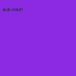 8A2BE2 - Blue-Violet color image preview