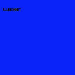 0B22F8 - Bluebonnet color image preview