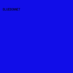 110DE8 - Bluebonnet color image preview