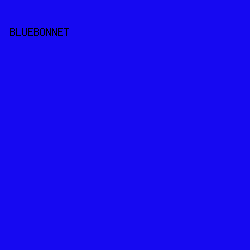1609F1 - Bluebonnet color image preview