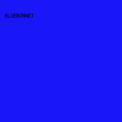 1916F8 - Bluebonnet color image preview