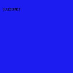1C1CF0 - Bluebonnet color image preview