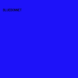 1D12F9 - Bluebonnet color image preview