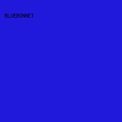 2019DB - Bluebonnet color image preview