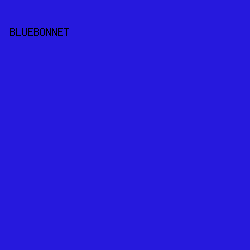2619DD - Bluebonnet color image preview