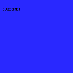 2928FF - Bluebonnet color image preview