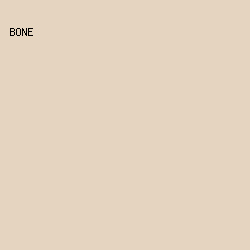 E4D4C0 - Bone color image preview