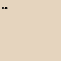 E5D4BE - Bone color image preview