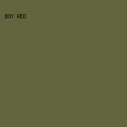 62663E - Boy Red color image preview