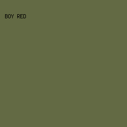 636a44 - Boy Red color image preview
