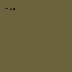 6B633E - Boy Red color image preview
