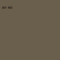 6a5e4c - Boy Red color image preview