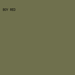 6f704d - Boy Red color image preview