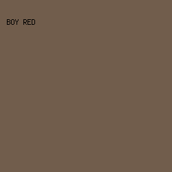715D4C - Boy Red color image preview