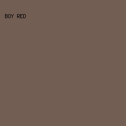735E54 - Boy Red color image preview