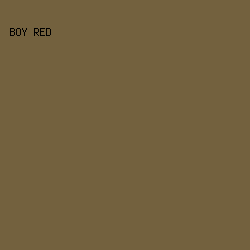 73613E - Boy Red color image preview