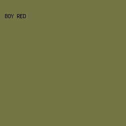 737745 - Boy Red color image preview