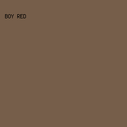 765e4a - Boy Red color image preview