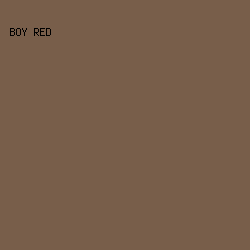 785e4a - Boy Red color image preview