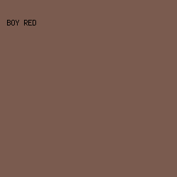 7a5b4f - Boy Red color image preview