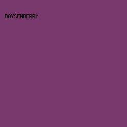 7A396C - Boysenberry color image preview
