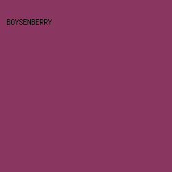 893660 - Boysenberry color image preview