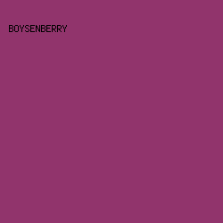 91346C - Boysenberry color image preview