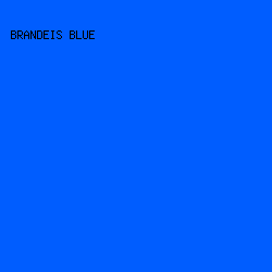 005DFF - Brandeis Blue color image preview