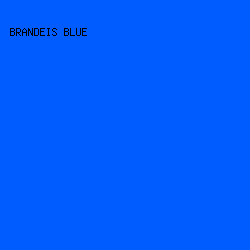005cff - Brandeis Blue color image preview