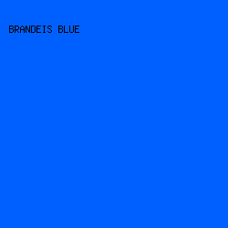 0060ff - Brandeis Blue color image preview