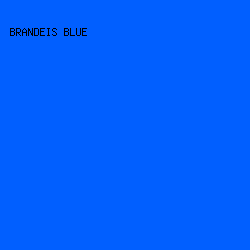 015fff - Brandeis Blue color image preview